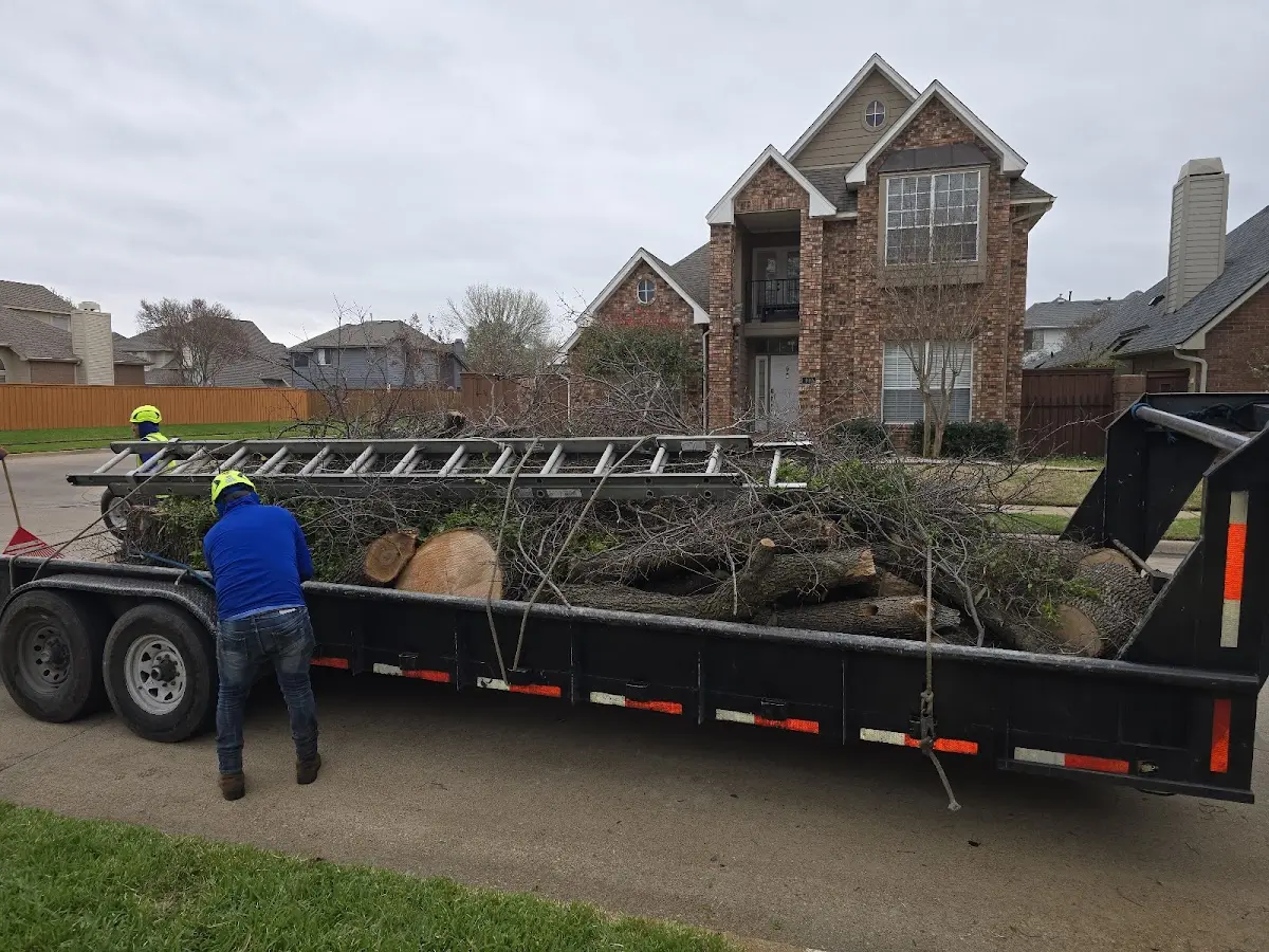 Expert Lot Clearing with proper safety equipment in Dalton